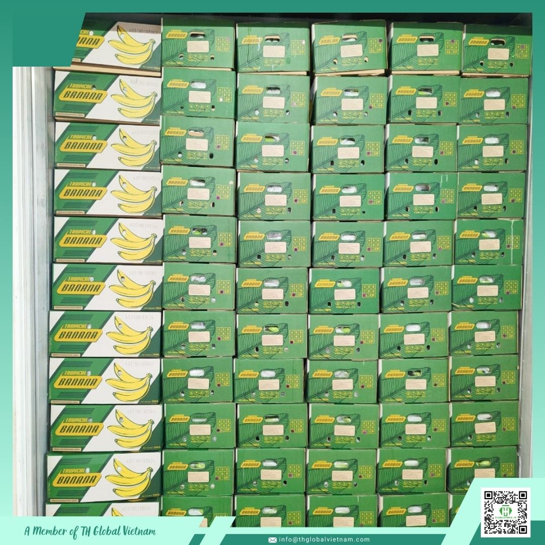 fresh Cavendish banana export packaging