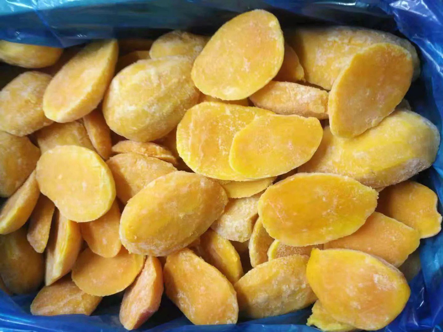 577880400 854001557286410 2762882305825979193 n