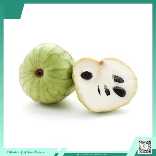 Fresh soursop vietnam Fresh soursop vietnam