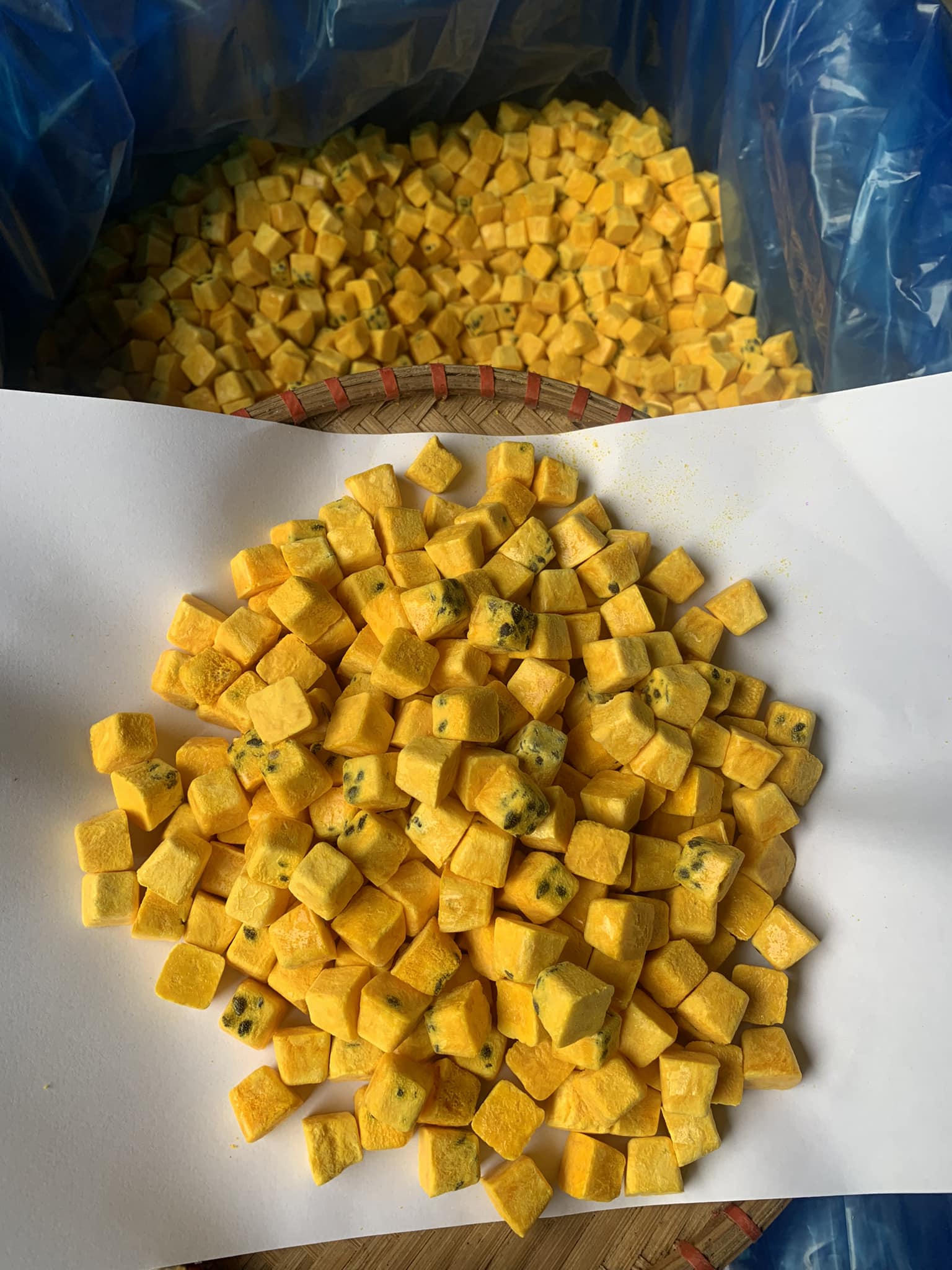 487763349 665021759840547 7706945408746846932 n