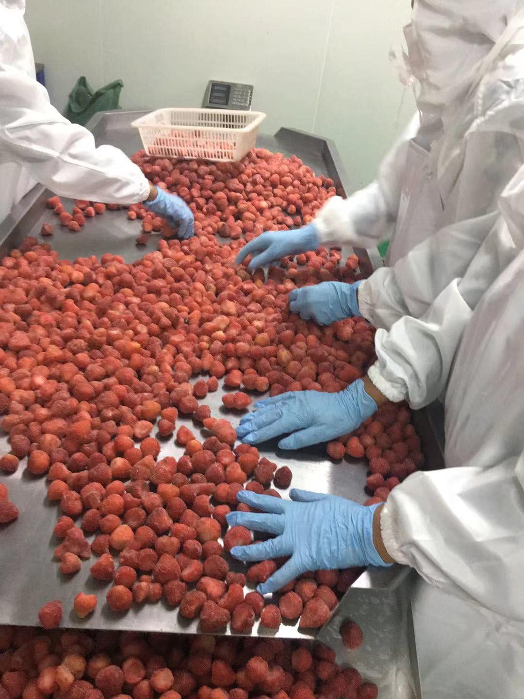 489290393 4110084172652163 7966520725086116325 n