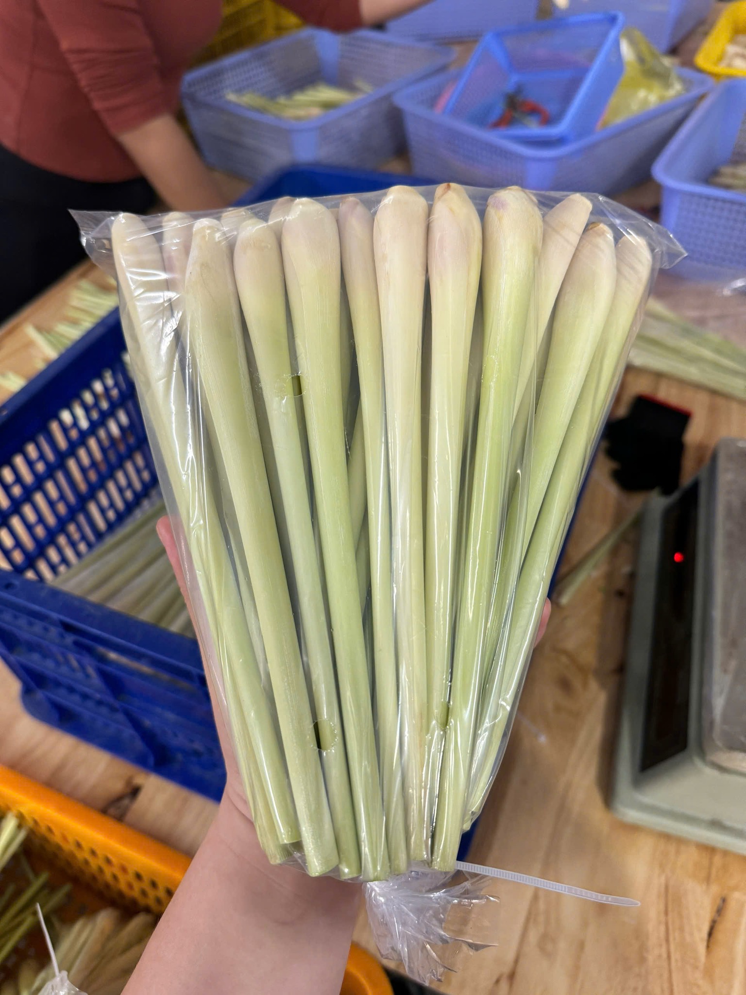 539453302 122222803622139880 2244355721446889974 n