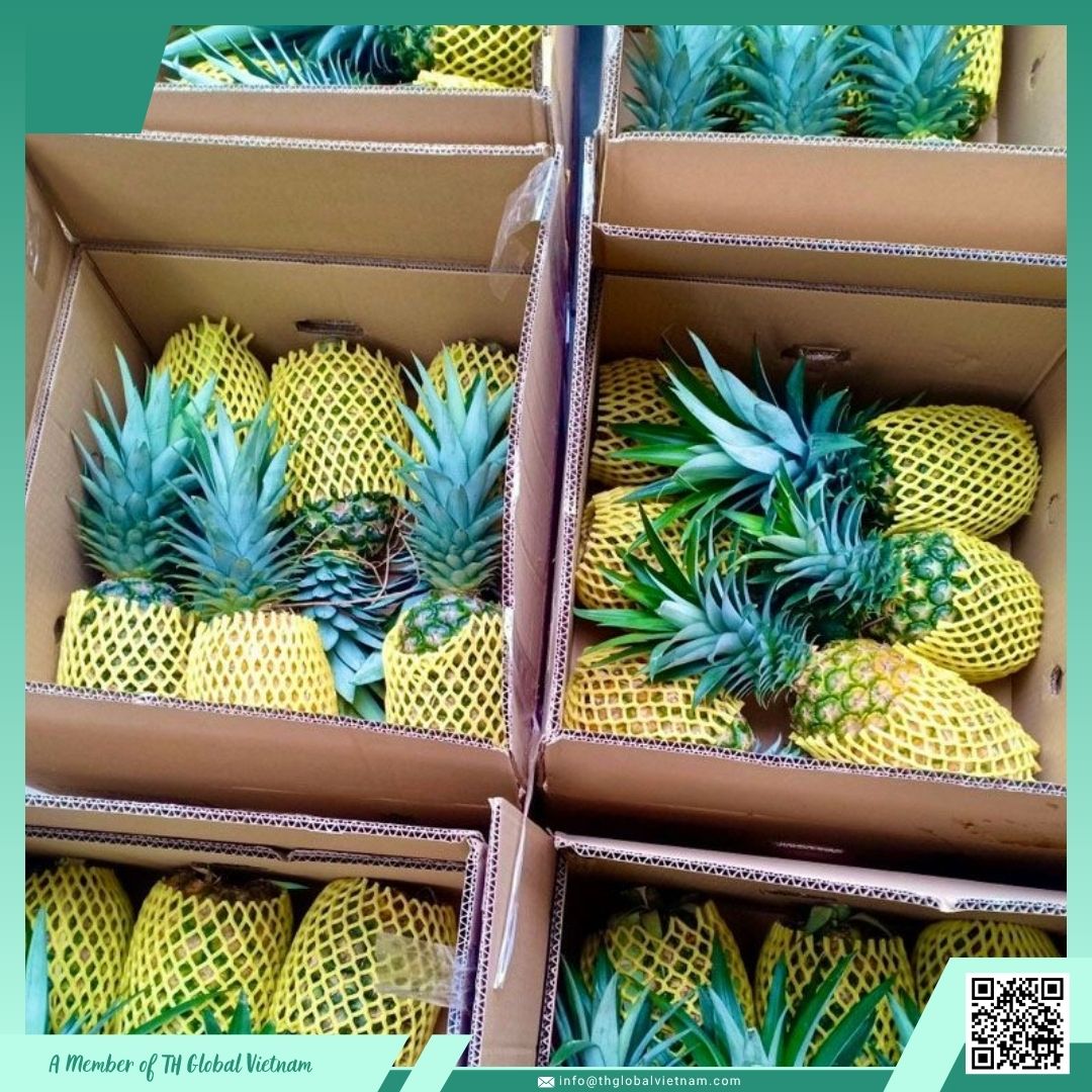 Pineapple Export Packaging