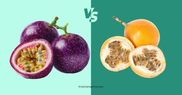 Purple yellow passion fruit difference