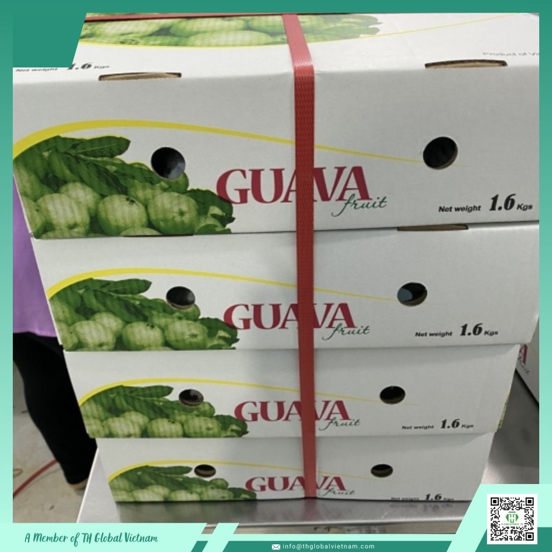 fresh guava export carton packing