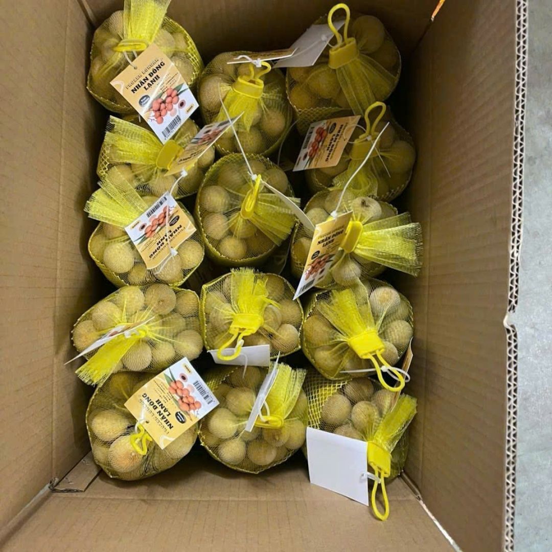 fresh longan 4