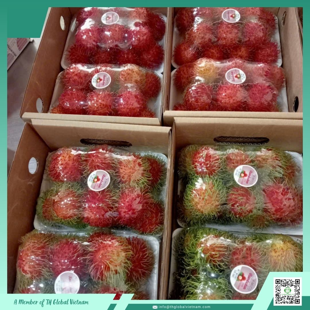 fresh rambutan export carton packing