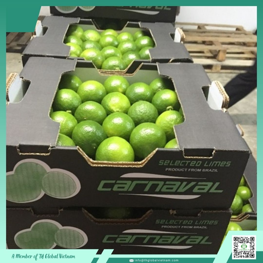 fresh seedless lime export packaging fresh seedless lime export packaging