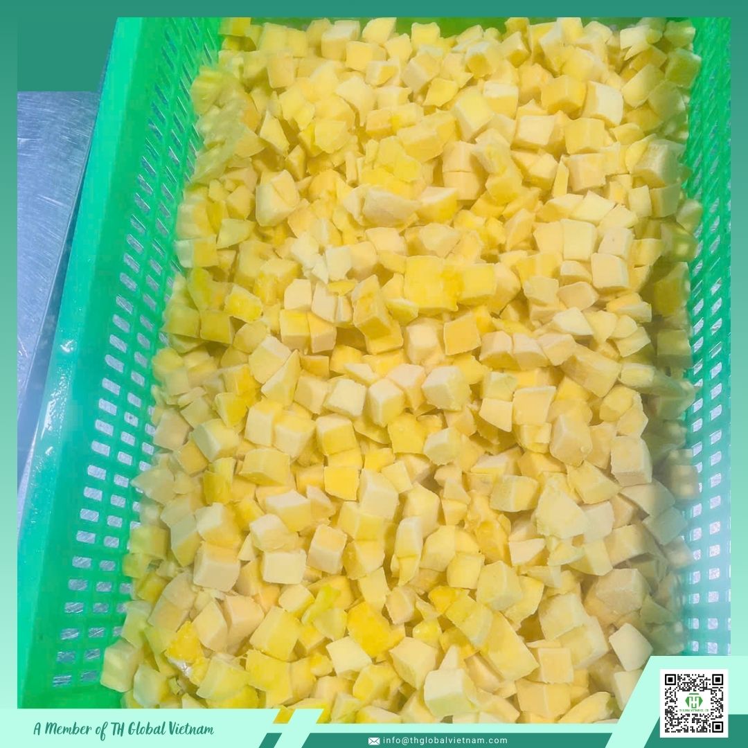 vietnam iqf mango frozen cubes