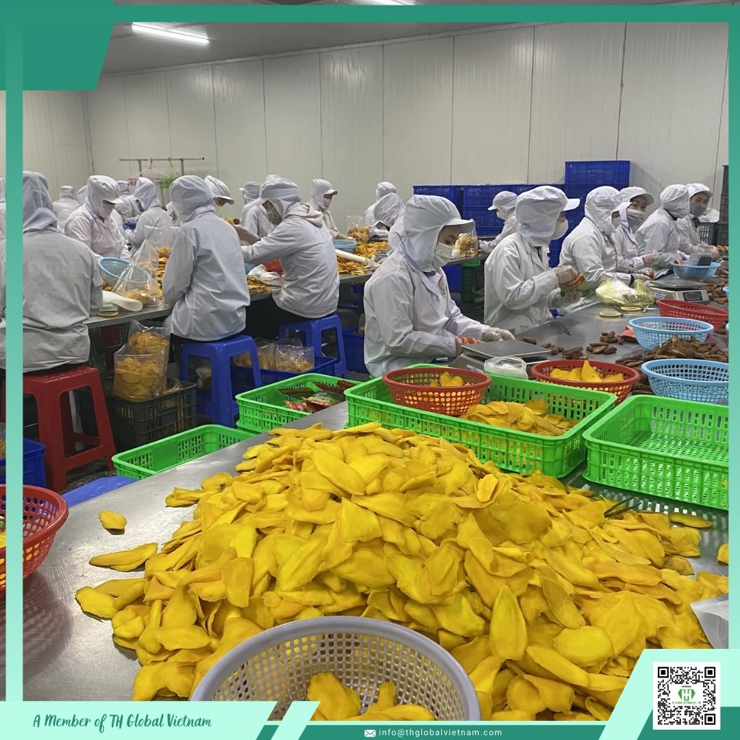vietnam soft dried mango packaging wholesale