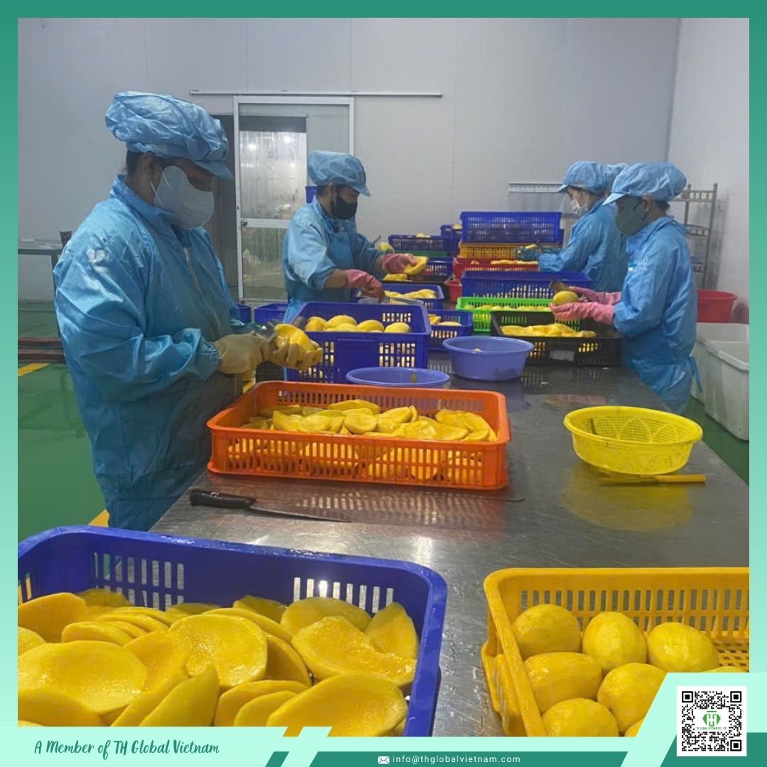 IQF Mango Processing Technology
