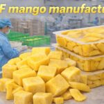 Reliable iqf mango manufacturer in vietnam