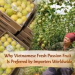 vietnamese fresh passion fruit