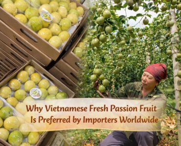 vietnamese fresh passion fruit