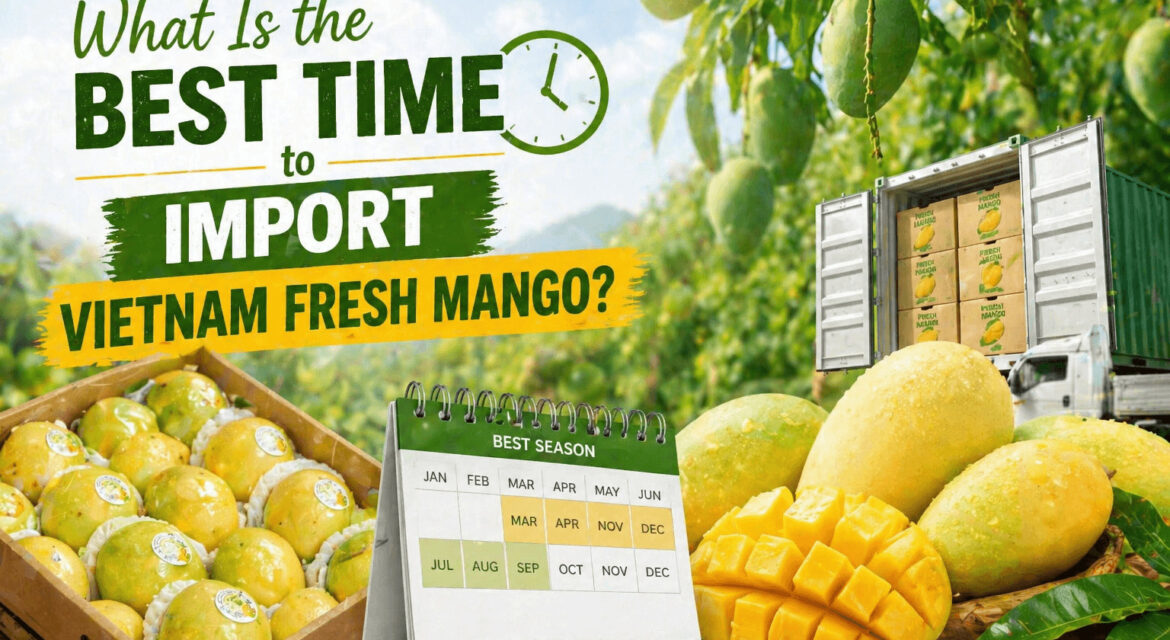 Best time to import fresh vietnam mango
