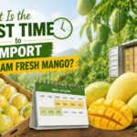 Best time to import fresh vietnam mango