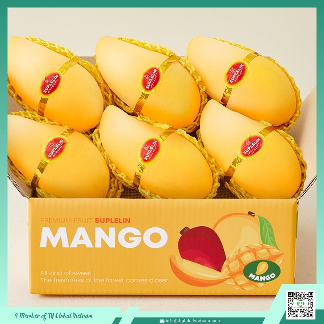 Mango Export Packaging Mango Export Packaging