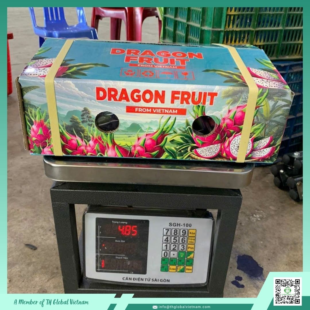 Dragon Fruit Export Packaging