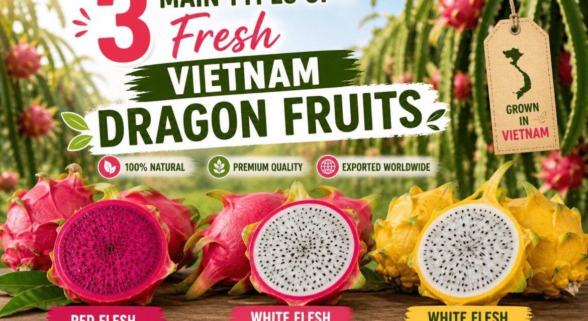 Vietnam Dragon Fruit Types