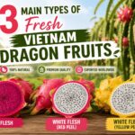 Vietnam Dragon Fruit Types