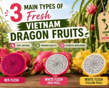 Vietnam Dragon Fruit Types